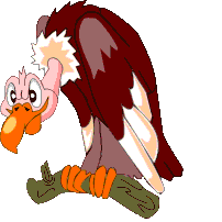 Gif animé vautour regarde